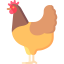 Hen