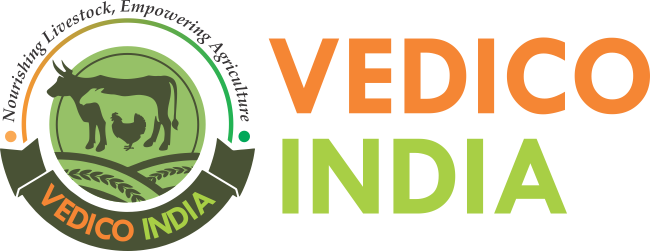 Vedico Logo 